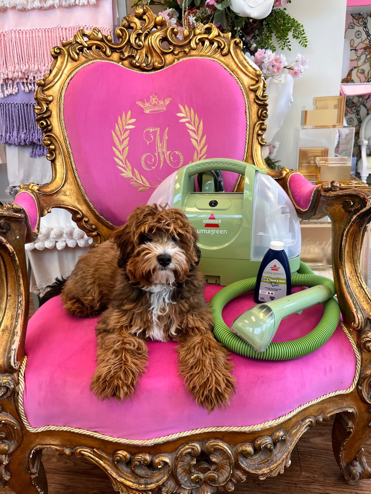 The Little Green was an absolute game changer when it came to potty training!! 

#LTKPets #LTKHome