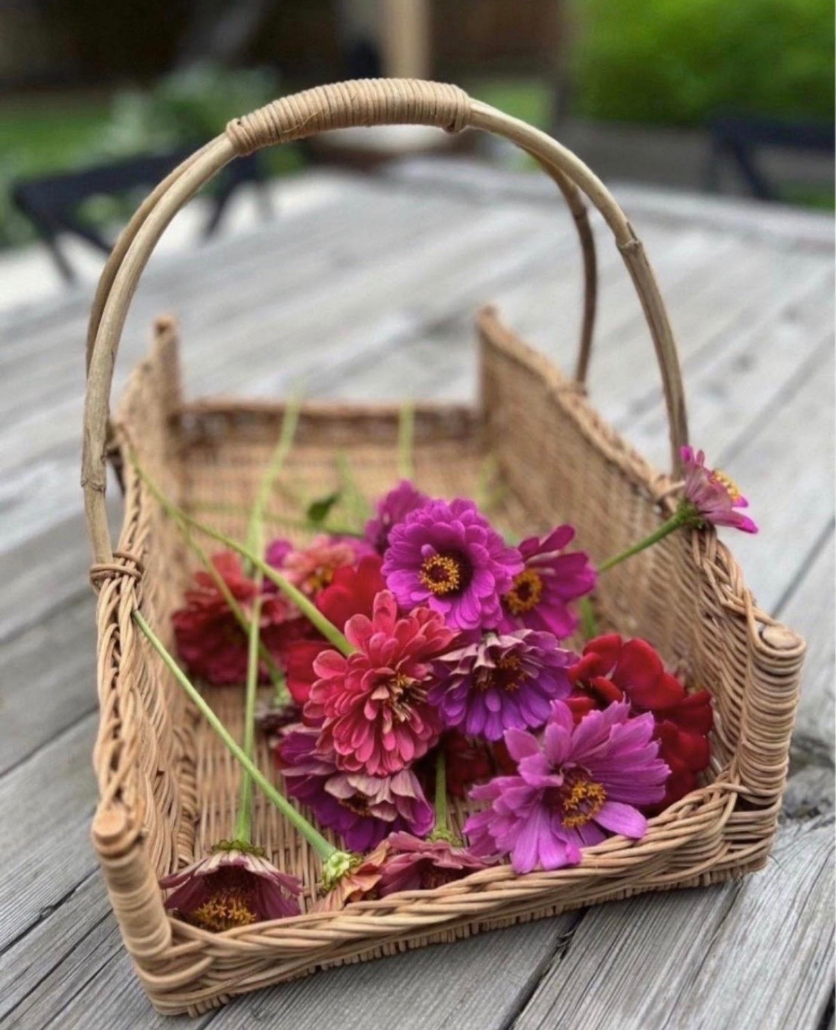 If you’ve been around here for a while, you’ve probably seen this basket more than once 🌸 It comes with me every time I head out to cut flowers and somehow always ends up full of zinnias. One of my favorite garden finds!

#LTKSeasonal #LTKHome #LTKSaleAlert