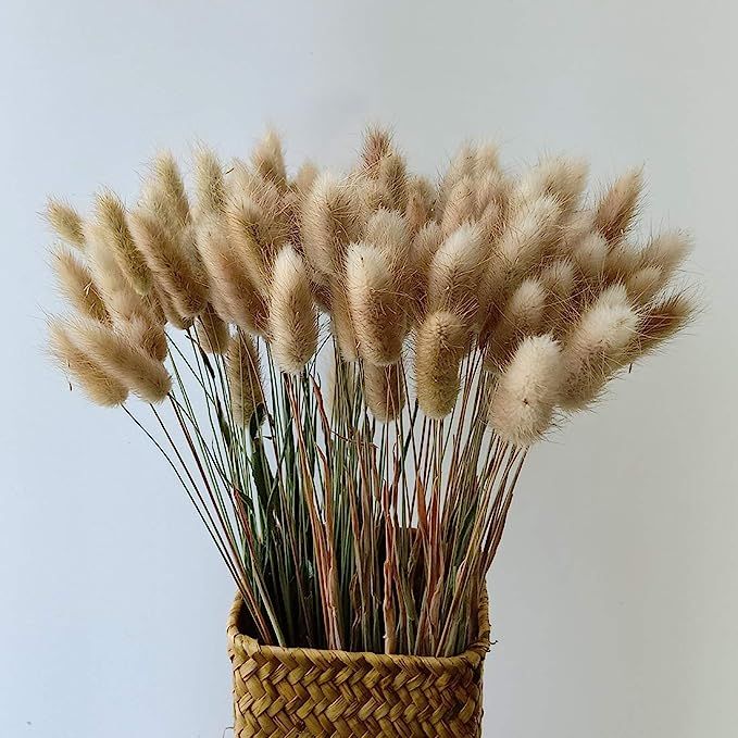 GHY Decor Dried Bunny Tail Grass Hare's Rabbit Tail Grass Lagurus Ovatus Plants (Natural Color) | Amazon (US)