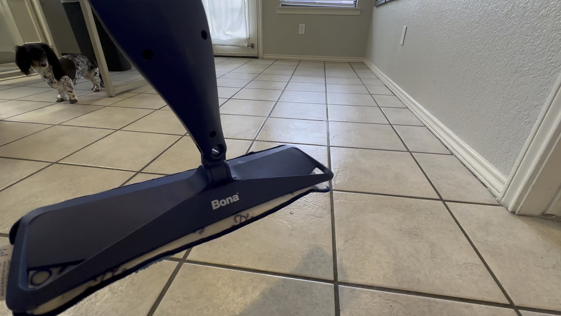 Time for spring cleaning &#bona mops make it easy! Bella approved...

#LTKhome #LTKVideo #LTKfamily