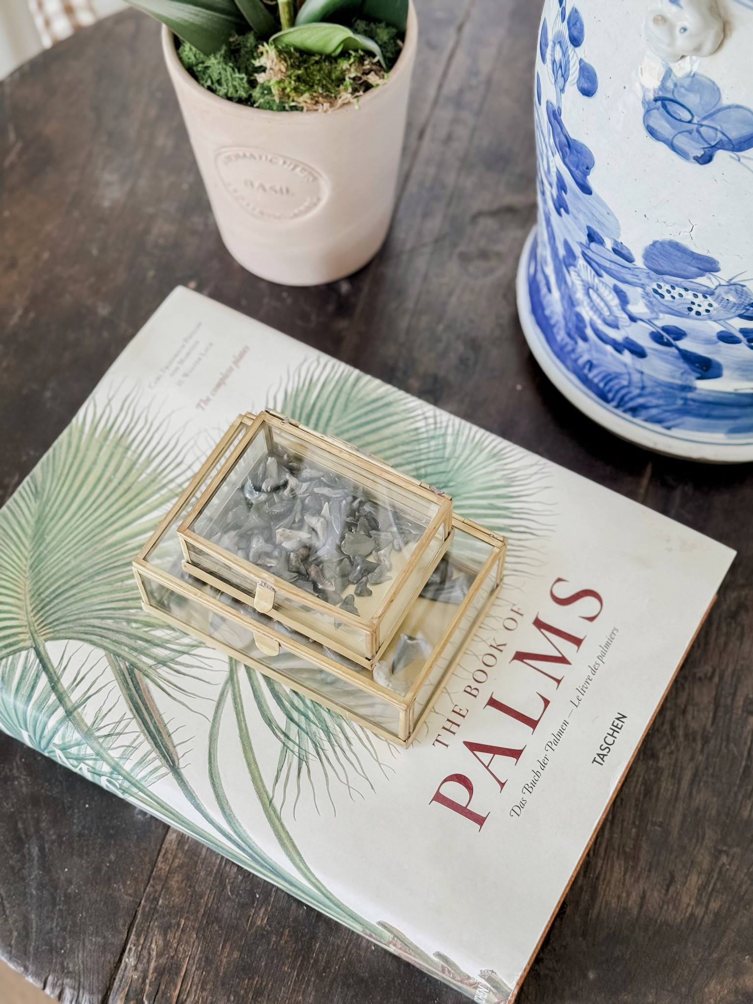 The perfect little spot for sharks teeth we find living on the coast! 



#LTKKids #LTKFamily #LTKHome