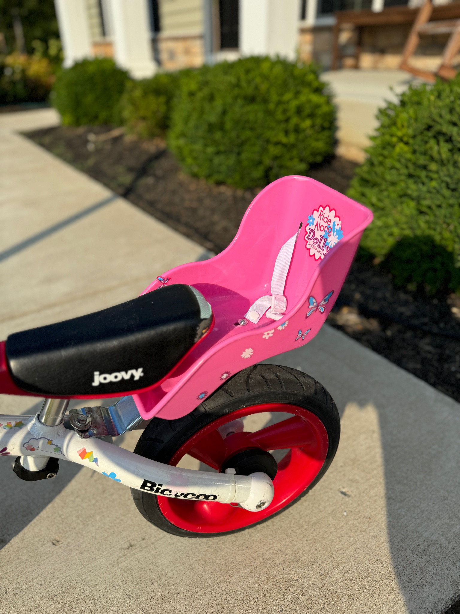 Amazon prime day, doll seat for kids bikes!

#LTKKids #LTKSaleAlert #LTKFindsUnder50