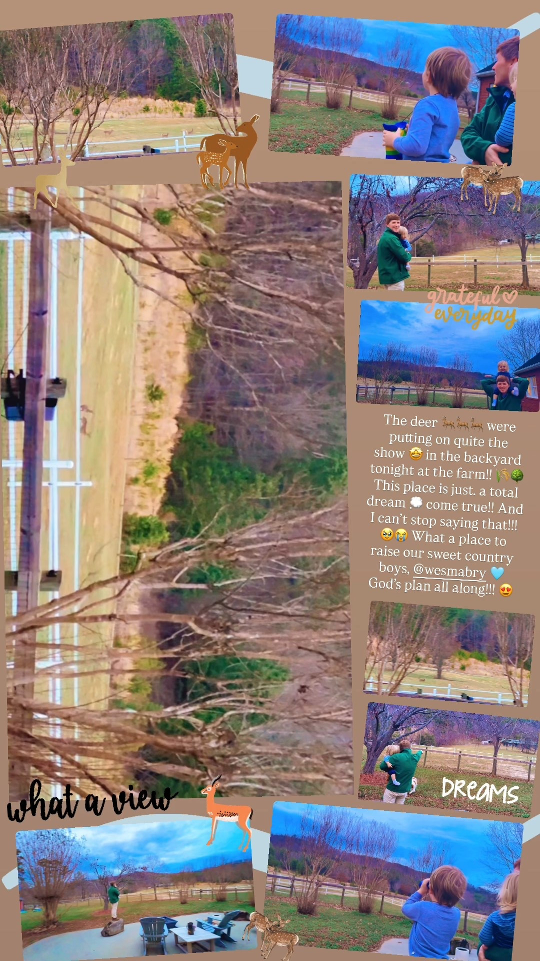 The deer 🦌🦌🦌 were putting on quite the show 🤩 in the backyard tonight at the farm!! 🌾🌳 This place is just… a total dream 💭 come true!! And I can’t stop saying that!!! 🥹😭 What a place to raise our sweet country boys, @wesmabry 🩵 God’s plan all along!!! 😍

#LTKKids #LTKHome