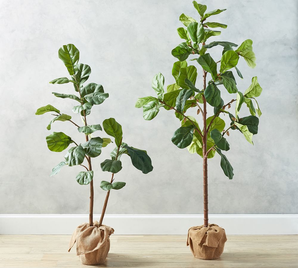 Faux Potted Fiddle Leaf Fig Trees | Pottery Barn (US)