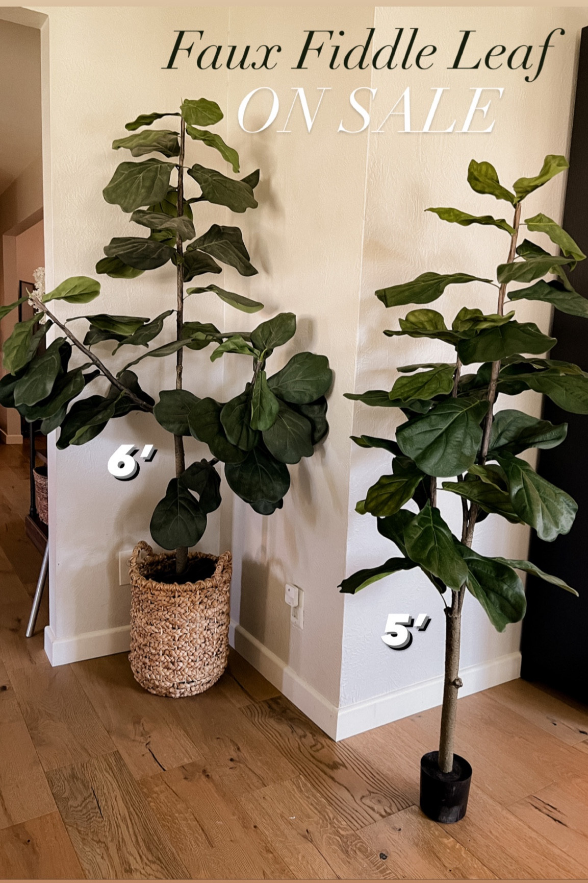 Faux fiddle leaf on sale! @QVC
use code: NEWQVC30 for $30 off a $60 purchase for new customers. 
#ad @qvc #loveqvc

#LTKsalealert #LTKunder50 #LTKhome