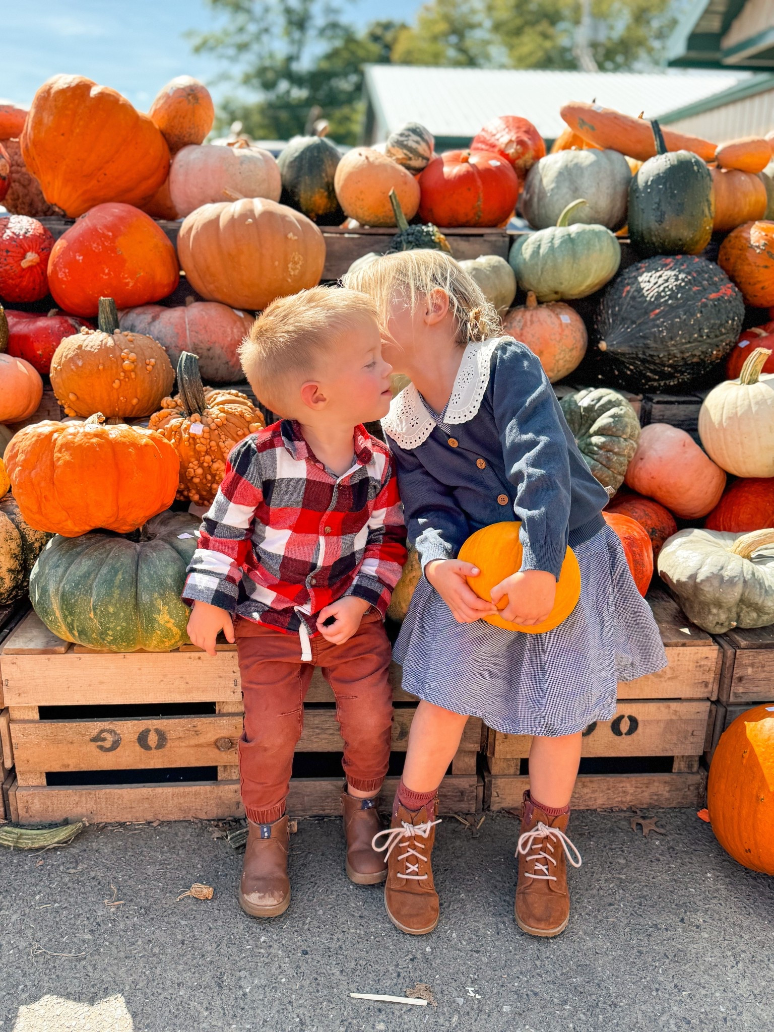 Toddler girl sweater 
Cozy knit sweater Peter Pan collar for little girls 