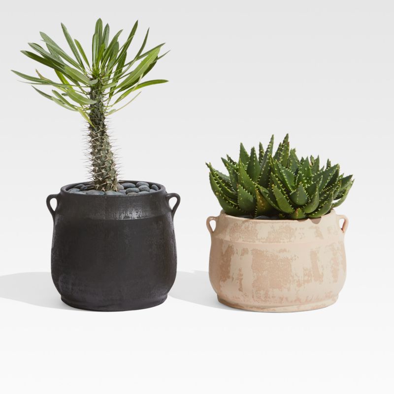 Hyrax Textured Planters | Crate and Barrel | Crate & Barrel