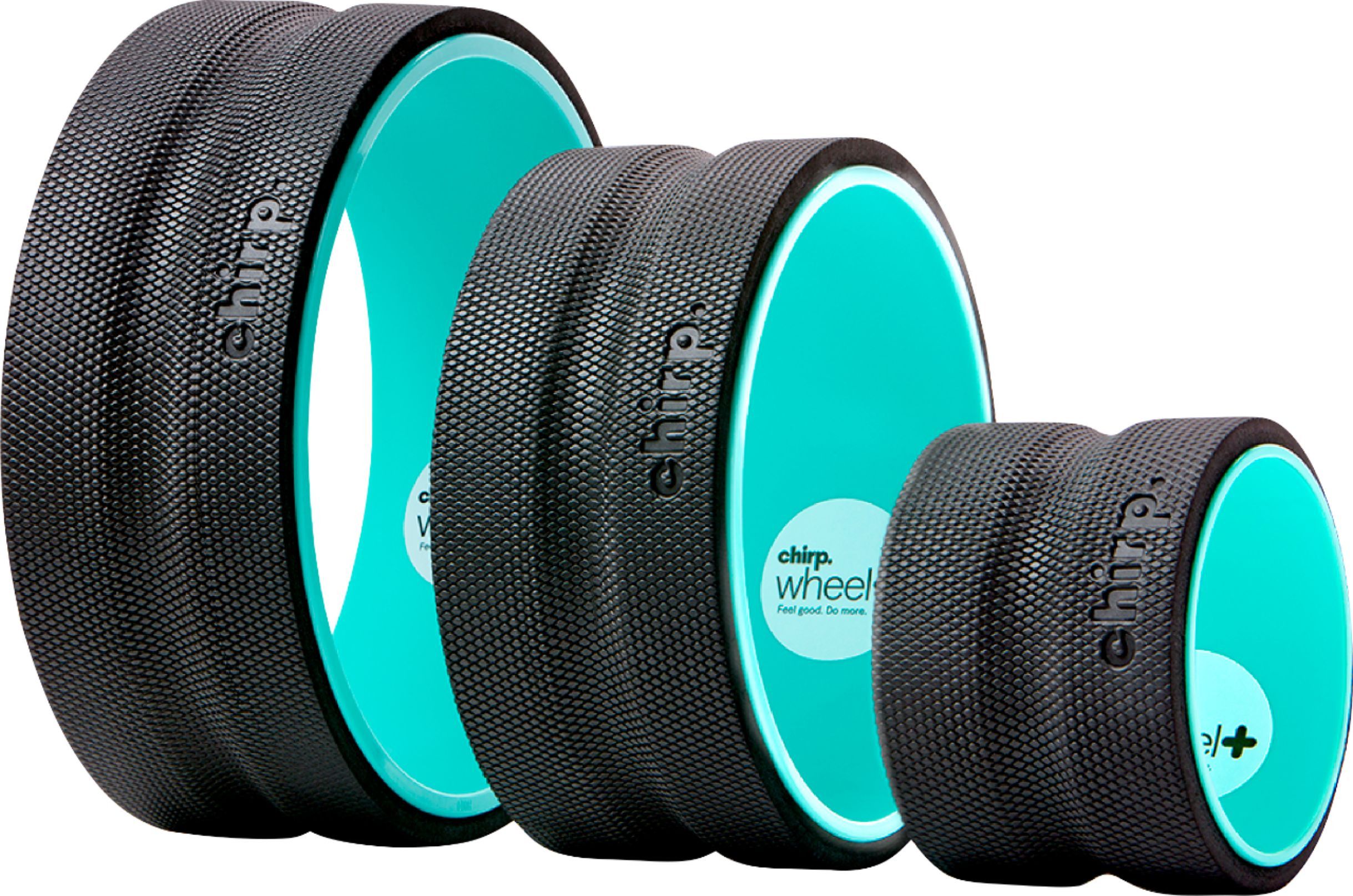 Chirp Wheel+ for Back Pain Relief 3 Pack Mint 3P-PW-PLUS-RTL - Best Buy | Best Buy U.S.
