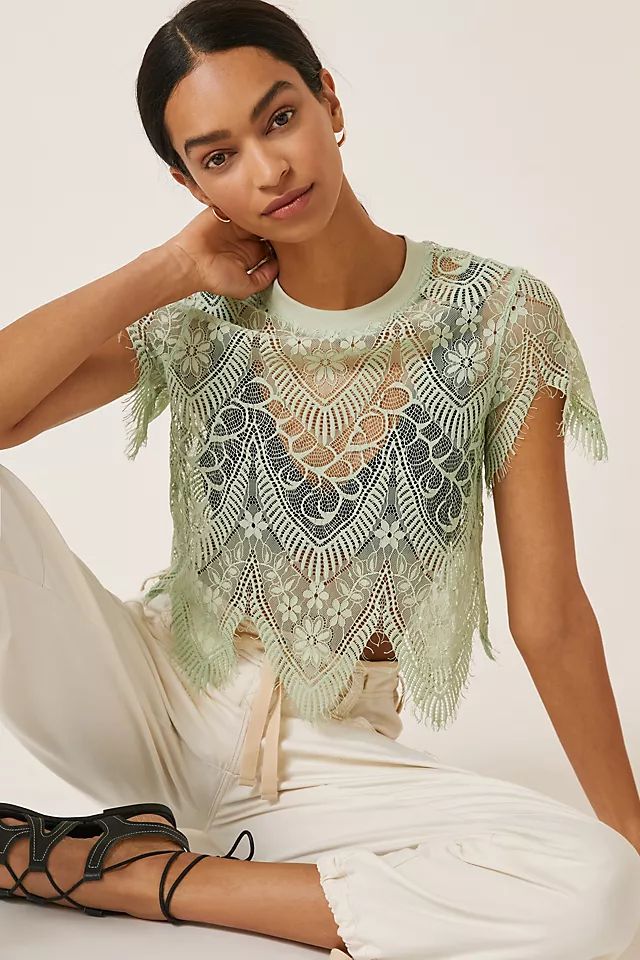 Sheer Lacy Top | Anthropologie (US)