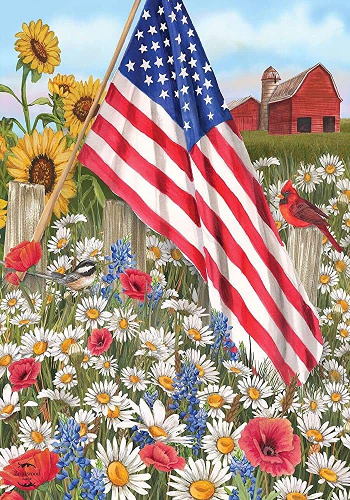America the Beautiful Summer House Flag Patriotic Field of Flowers 28" x 40" | Amazon (US)