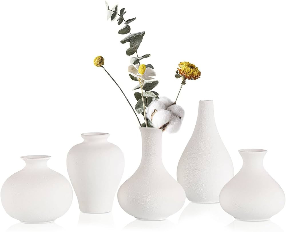 Small White Vase Set 5 Cute Mini Ceramic Vases for Decor,White Bud Vases for Pampas Grass Rustic ... | Amazon (US)