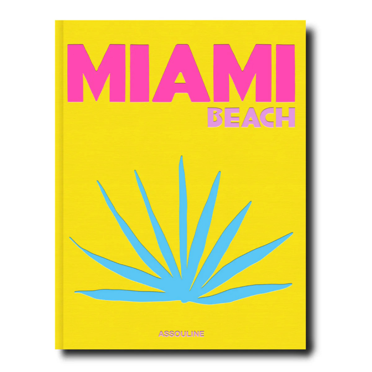 Miami Beach Book | Furbish Studio