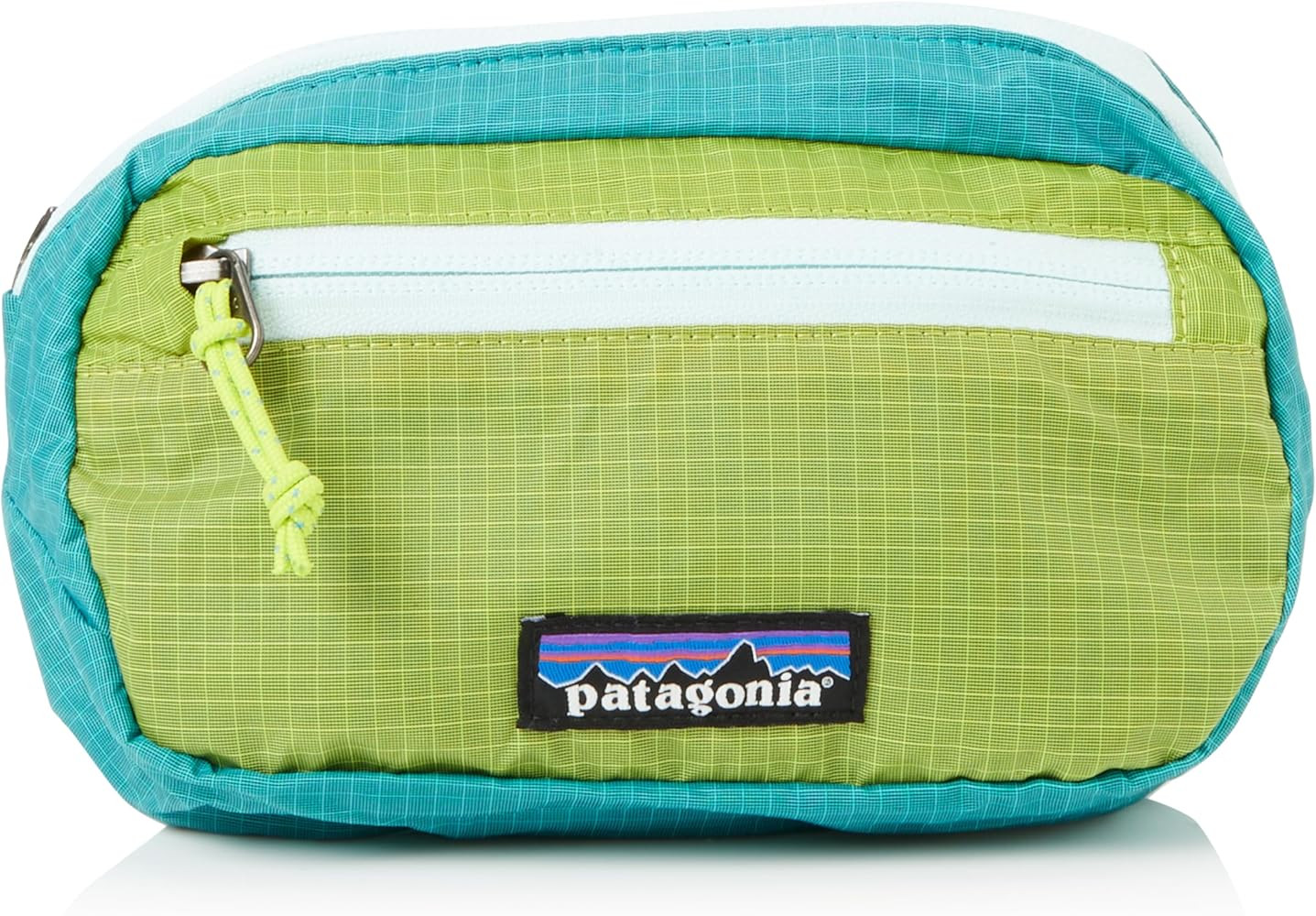 Compact Patagonia Mini Hip Pack in Subtidal Blue | Amazon (US)