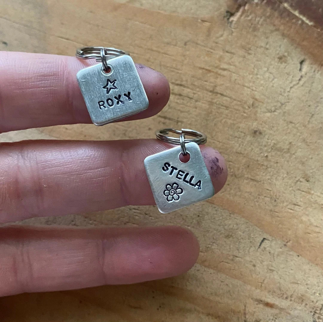 teeny tiny tag tiny pet tag tiny pet id tag cat id tag small pet id tag tiny dog tag cat tag dog ... | Etsy (US)