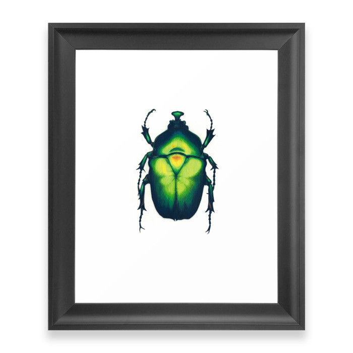 Chafer Beetle Framed Art Print by meegmjaatvedt | Society6