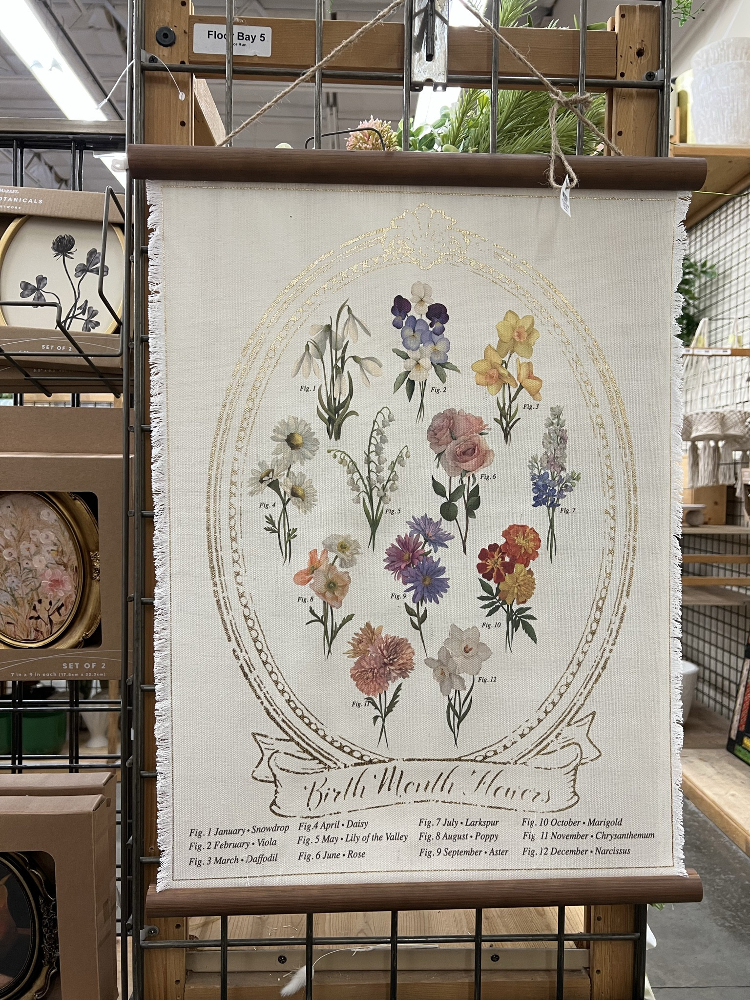 Absolutely love this “Birth Month Flowers” chart from World Market. It’s so delicate and the colors are beautiful. ✨ Maybe in the Jungle Room? 

#springdecor #garden #flowers

#LTKSeasonal #LTKHome