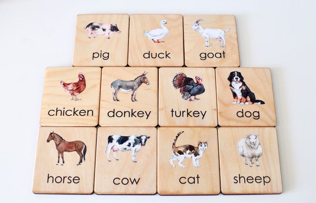 Wooden Montessori Flashcards---Learning Farm Animals Flashcards | Etsy (US)
