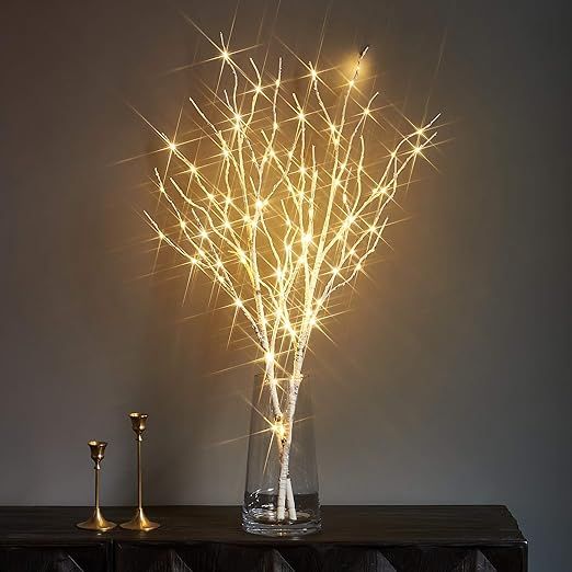 LITBLOOM Lighted White Twig Branches 32IN 100 LED with Timer Battery Operated, Artificial Tree Br... | Amazon (US)
