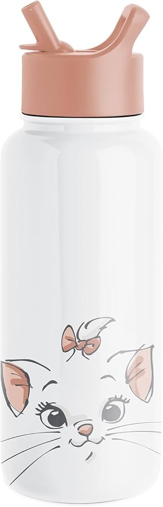 Simple Modern Disney Aristocats Water Bottle with Straw Lid Vacuum Insulated Stainless Steel Meta... | Amazon (US)