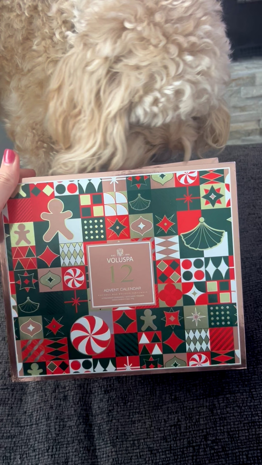 It’s not too late to purchase the best Advent Calendar!! This one is my absolute favorite!

#LTKHome #LTKHoliday #LTKGiftGuide