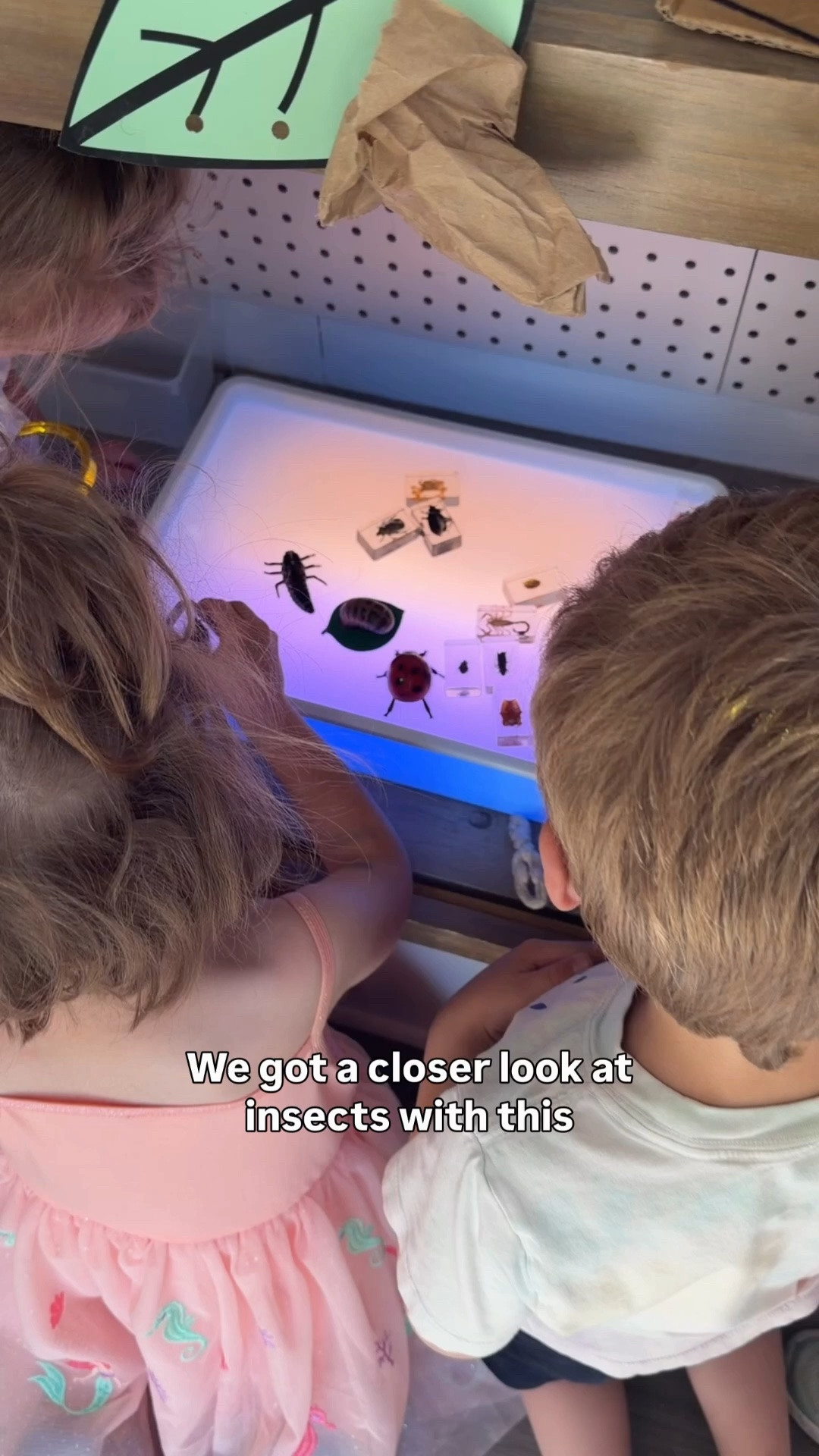 These insect specimens are a fan favorite for kids to explore at all ages 🐞

I love using them with a light table so they can see more details on these tiny creatures.

#LTKmomlife #LTKKids #LTKstorytime