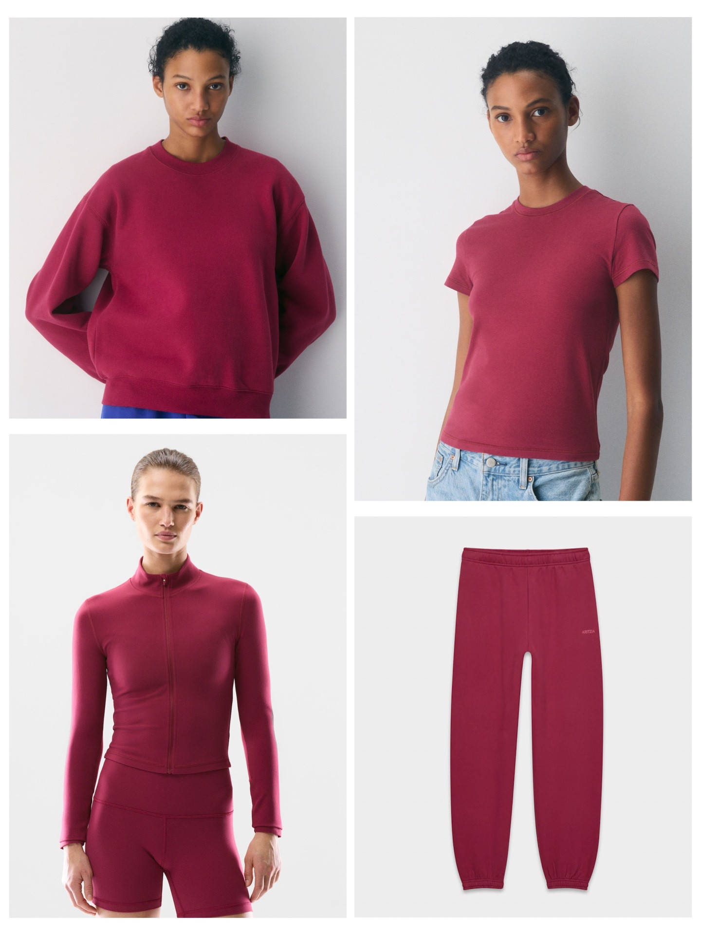 Aritzia’s Juicy Rose is a gorgeous berry color perfect for Summers, Dark Autumns, & Dark Winters!