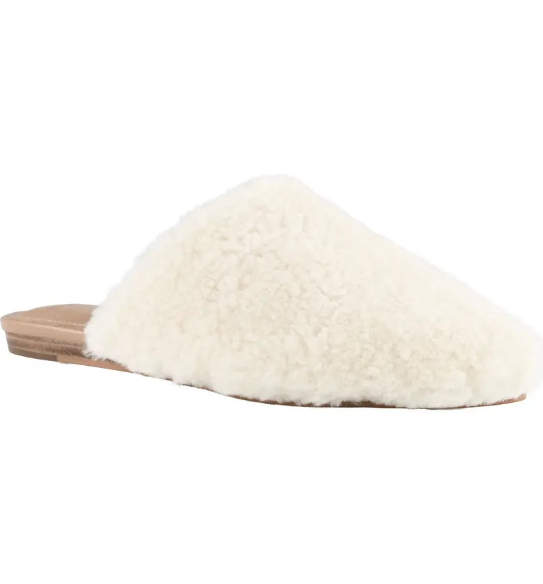 Sabrinna Genuine Shearling Mule | Nordstrom