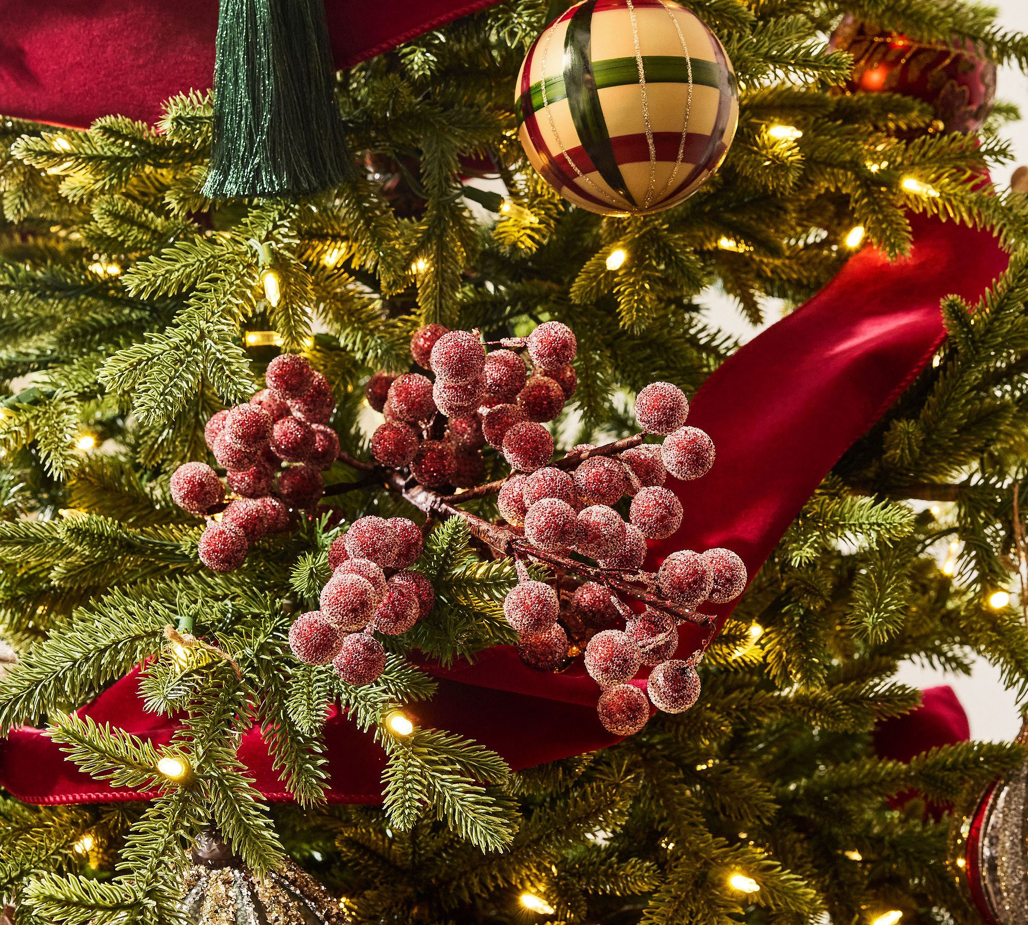 Iced Berry Pick | Pottery Barn (US)