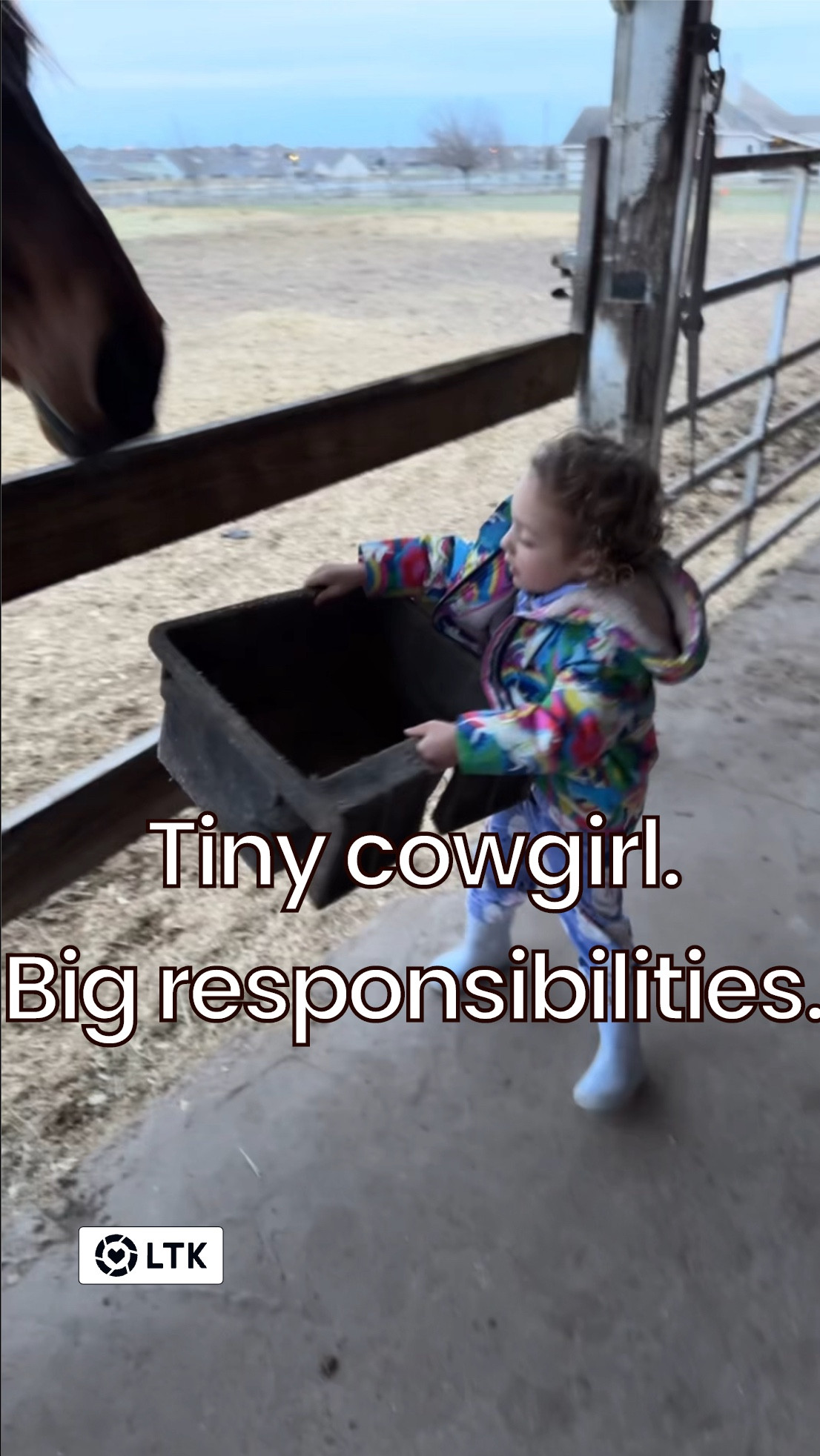 Feeding time at at our horse home.

She’s just a toddler in boots, but somehow she’s already becoming the girl she’s meant to be one day. 🥹

Her outfit? Mostly dirt + joy + tiny chores.✨

This is what growing up on four acres of freedom looks like and as her mama, it’s everything. 🙌🏻💛

#Motherhood #Western #BarnLifeDiaries #TinyCowgirlChronicles #AccidentalFarmGirl #WesternStyle #CountryChic #CowboyChic #CowgirlBoots  #ToddlerOutfits  
#AmazonFinds  




#LTKSeasonal #LTKHome #LTKFamily