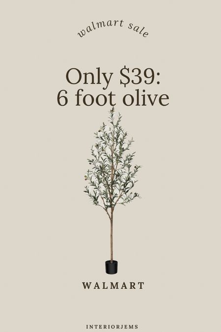 Incredible price on the 6 foot olive tree, only $39, the lowest I’ve seen any artificial trees, living room must have, on sale from Walmart, olive tree

#LTKHome #LTKStyleTip #LTKSaleAlert