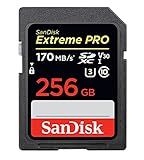 SanDisk 128GB Extreme PRO SDXC UHS-I Card - C10, U3, V30, 4K UHD, SD Card - SDSDXXY-128G-GN4IN | Amazon (US)