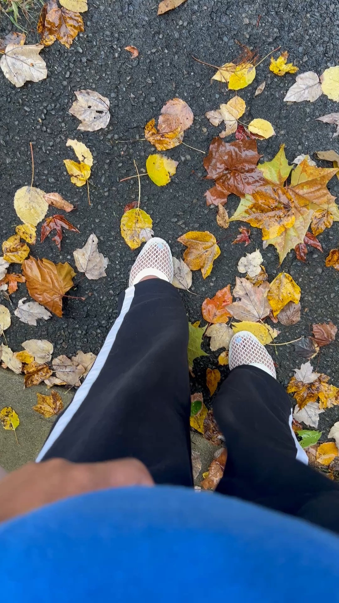 Not the best flat shoes to wear while it’s raining, but it’s hard to find a pair of shoes nowadays that I don’t need to bend over to put on. 

At least I’m cute in the rain wearing my mesh flats. 🌧️ 🥿 

#flatshoes #flats #meshshoes

#LTKShoeCrush #LTKStyleTip #LTKFindsUnder50