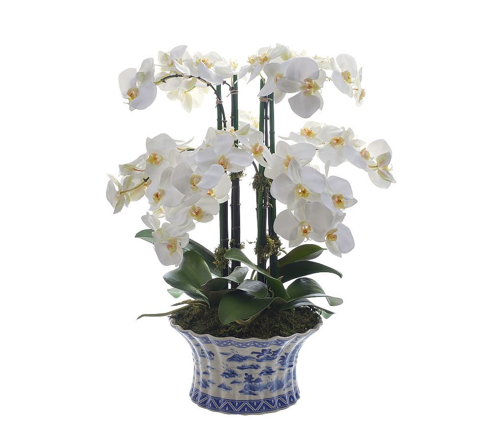 Faux Orchid Phalaenopsis in Pot | Pottery Barn (US)