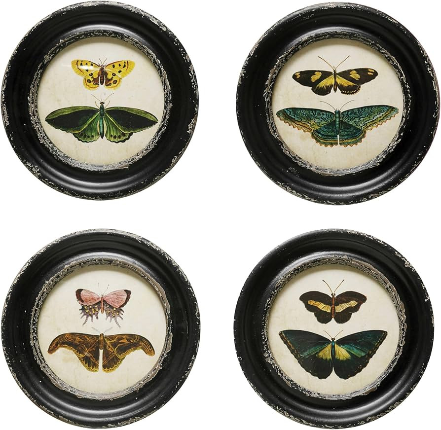 Creative Co-Op Moth and Butterfly Framed Wall Decor, Multicolor, Set of 4 | Amazon (US)
