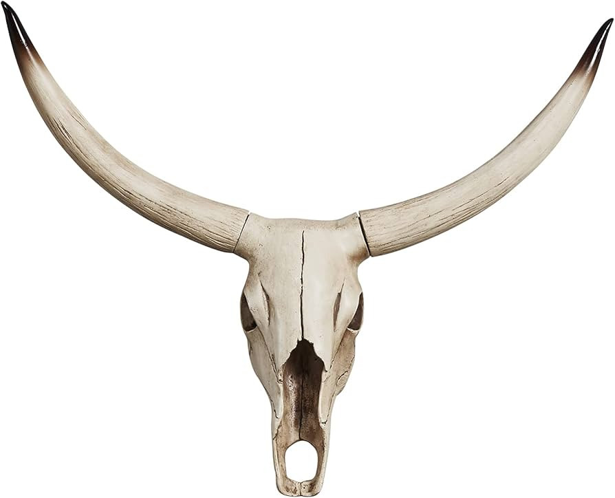 Notakia Long Horn Cow Skull Wall Hanging Longhorn Steer Southwest Bull Skull Sculpture Resin Deco... | Amazon (US)