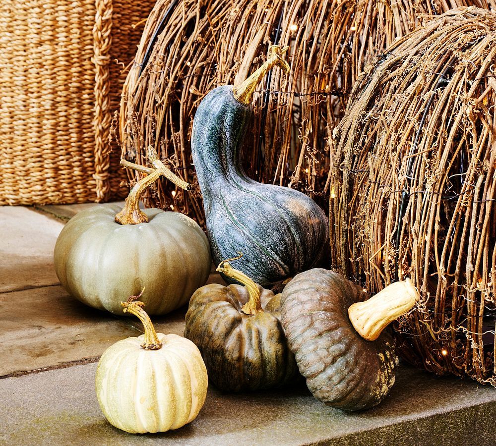 Faux Pumpkins & Gourds - Set of 5 | Pottery Barn (US)