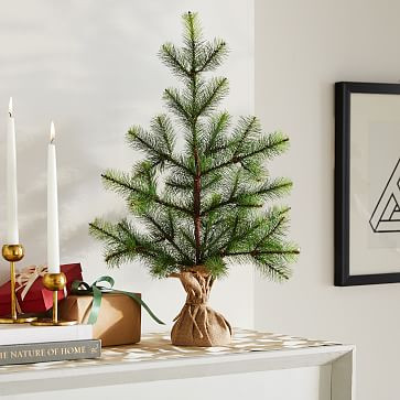Simple Tabletop Tree | West Elm (US)