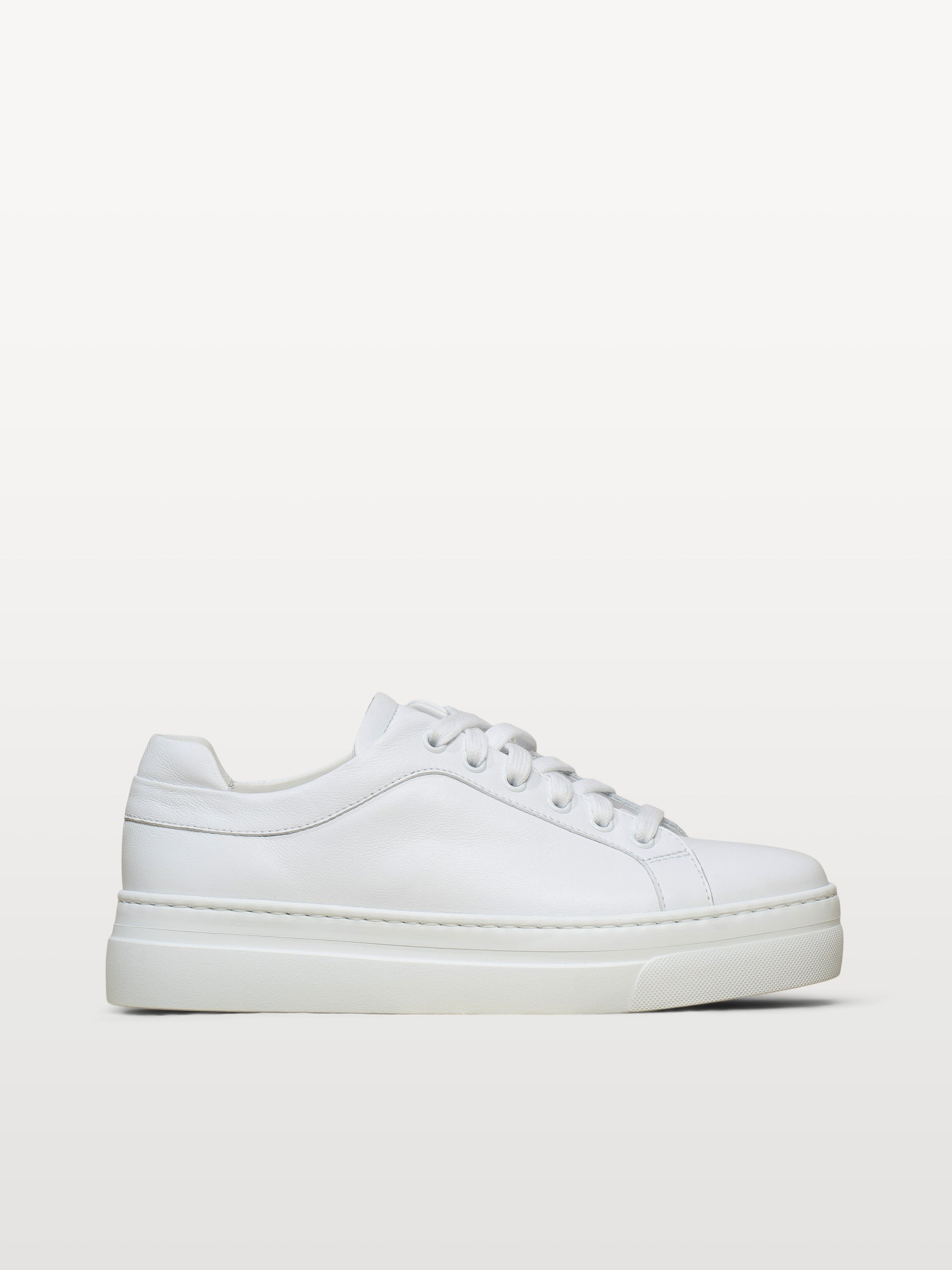 The Palestra Alta | M.GEMI