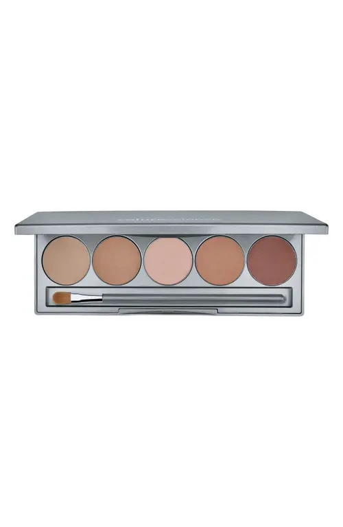 Colorescience ® Mineral Corrector Palette SPF 20 in Light To Medium at Nordstrom | Nordstrom