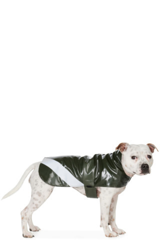 SSENSE Exclusive Green Dog Raincoat | SSENSE