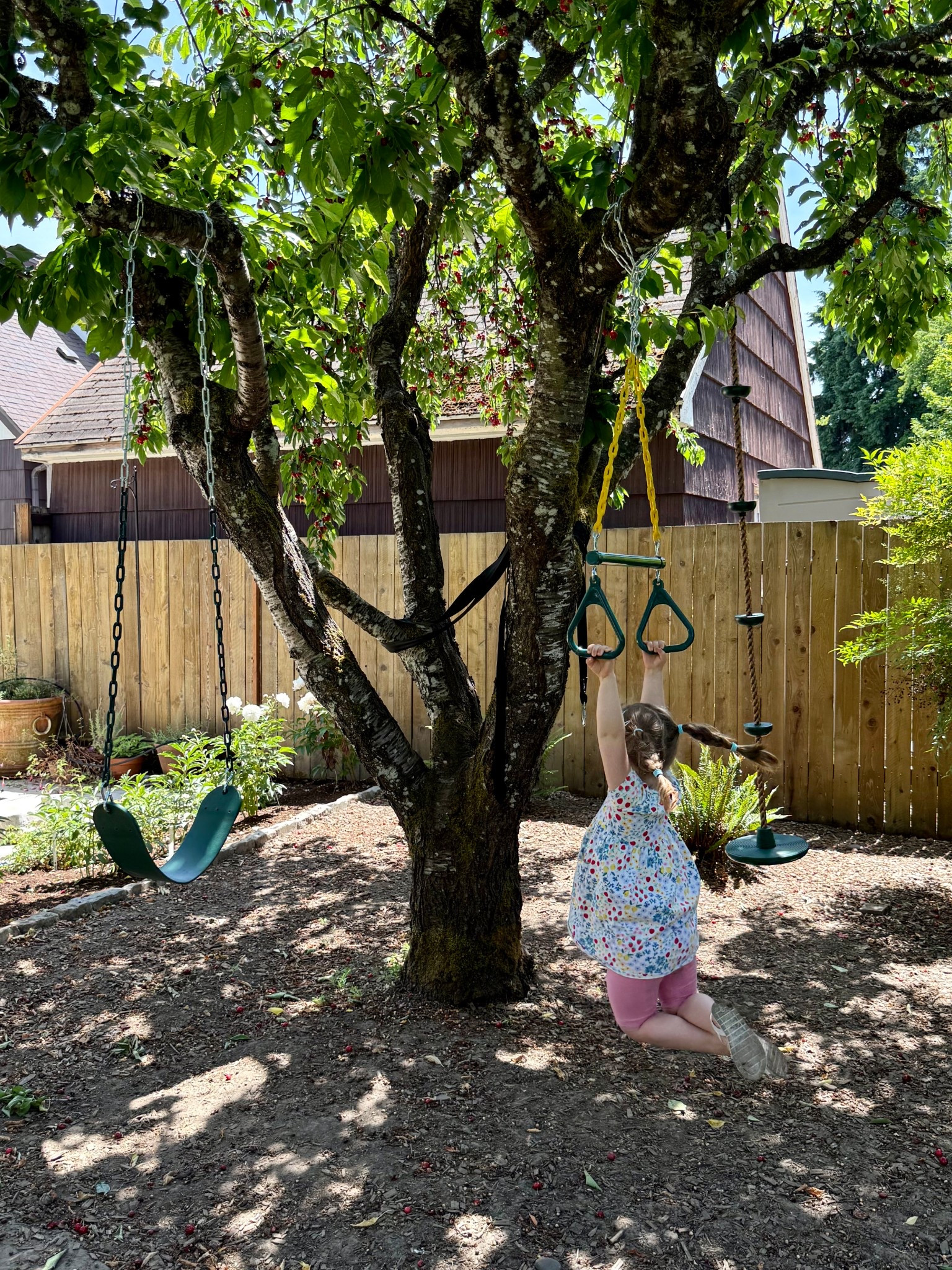 Tripled the number of swings we had on this tree this summer and the kids are loving it! I found three tasteful plastic swings of different kinds, linking them all here.

#LTKSeasonal #LTKFamily