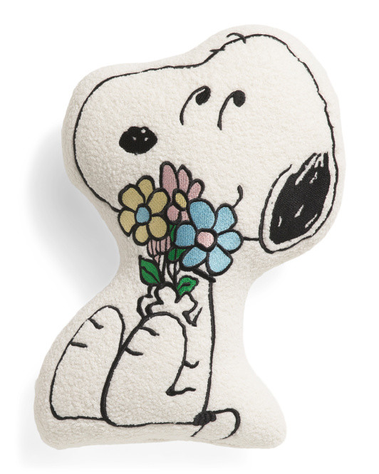 Character Pillow | TJ Maxx