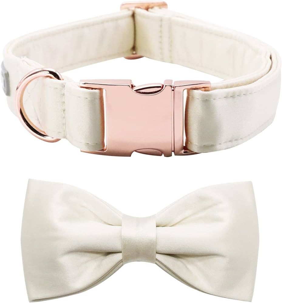 Lionet Paws Bowtie Dog Collar - Comfortable Silk Dog Collar with Detachable Bow Tie for Small Dog... | Amazon (US)