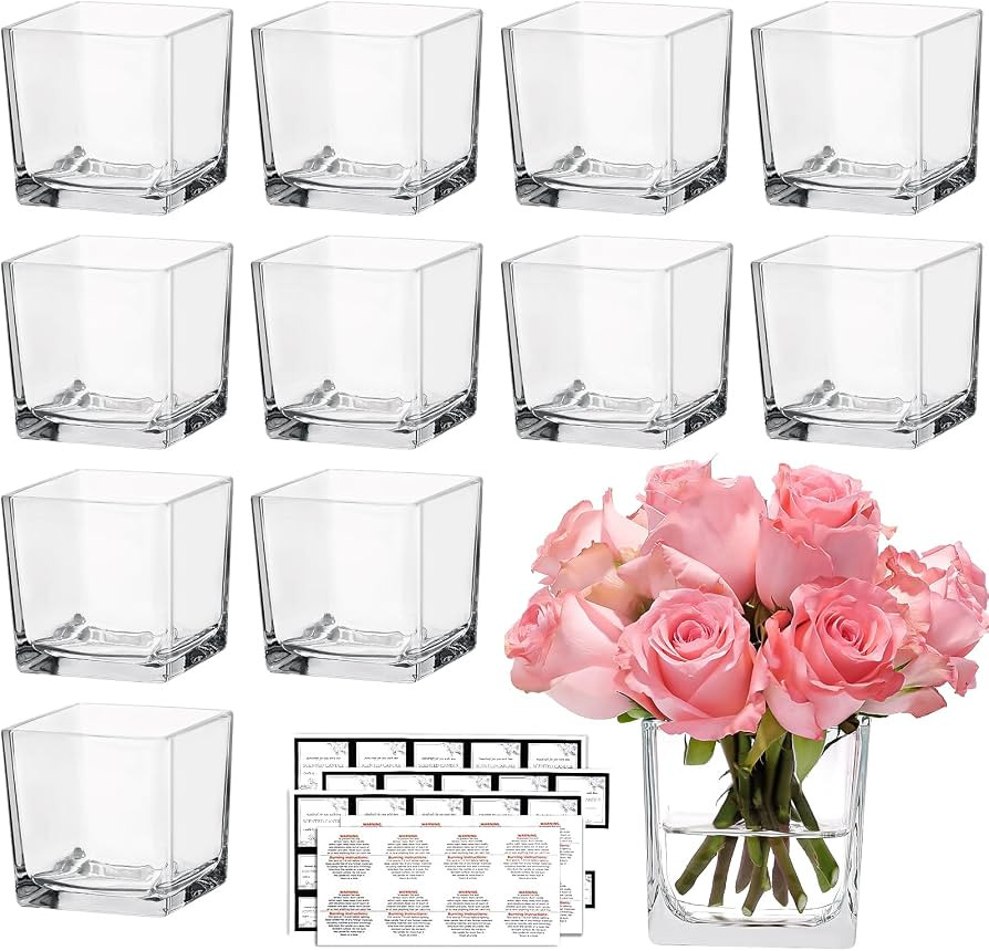 CONNOO 12 Pack Square Glass Vase 3" x 3" x 3", Clear Bulk Flower Vases for Centerpieces, Square G... | Amazon (US)