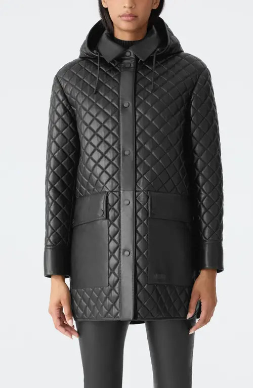 Mackage Litzy Quilted Hooded Leather Jacket in Black at Nordstrom, Size X-Large | Nordstrom