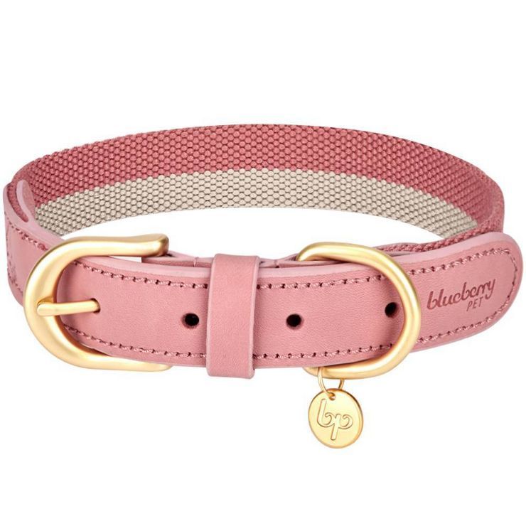 Blueberry Pet Polyester and Leather Dog Collar | Target