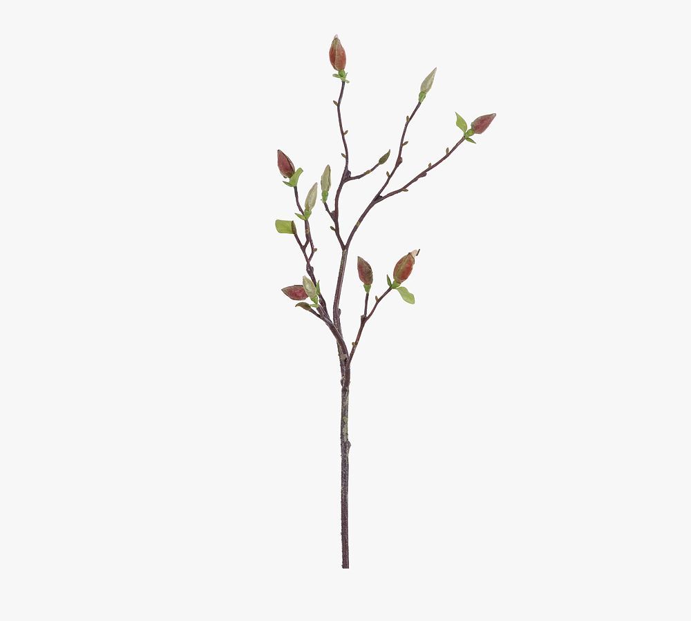 Faux Magnolia Bud Half Dozen Branches | Pottery Barn (US)