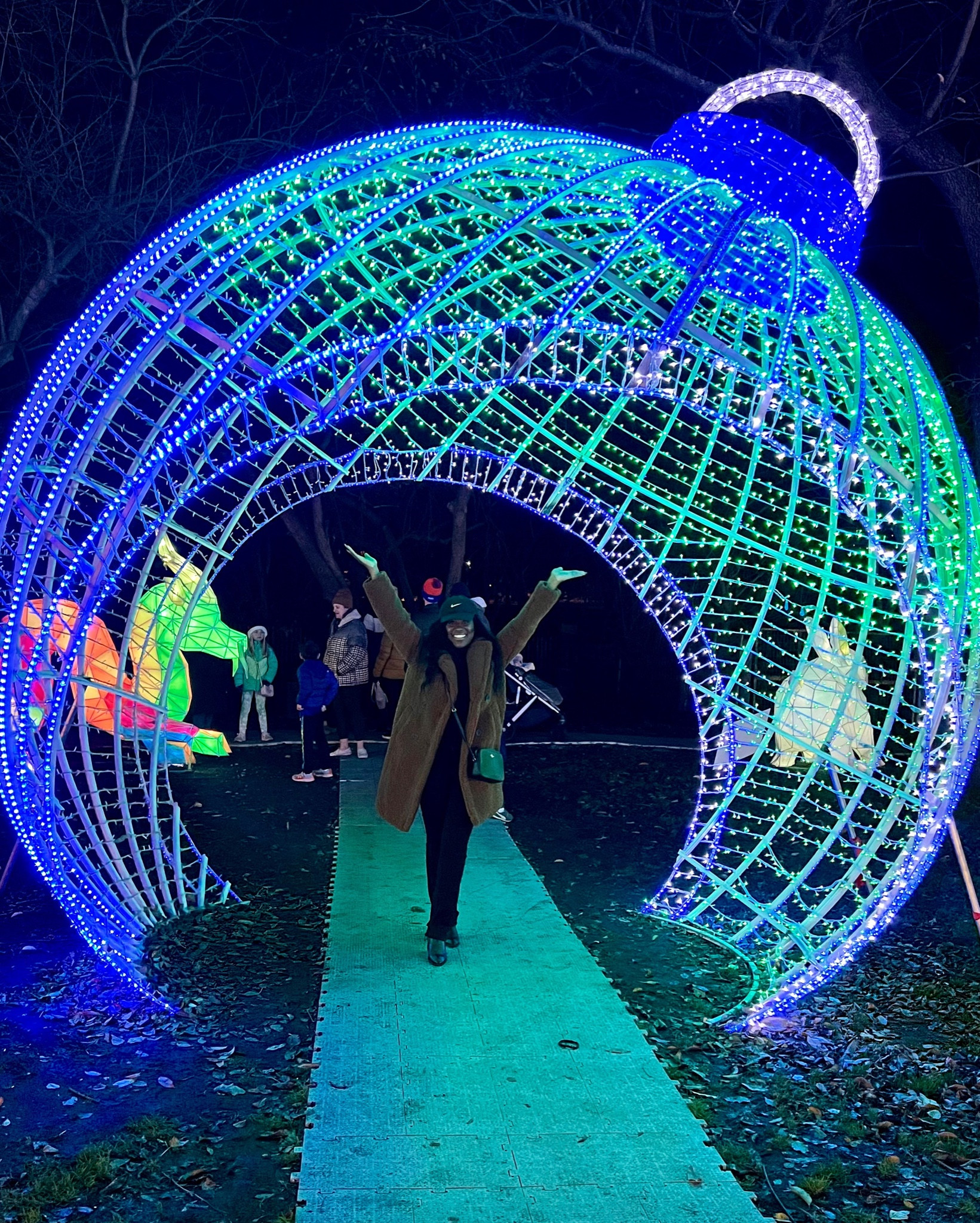 Holiday Light Outing 
Brown teddy coat // black pants // black shirt // black Nike cap // black purse

#LTKHoliday #LTKstyletip #LTKunder100