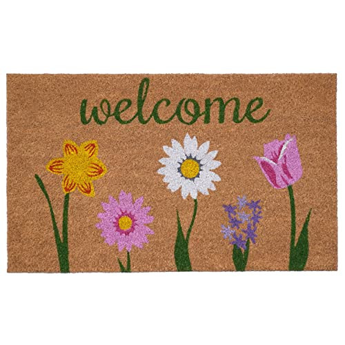 Calloway Mills 102451729 Carmine Doormat, 17" x 29" | Amazon (US)