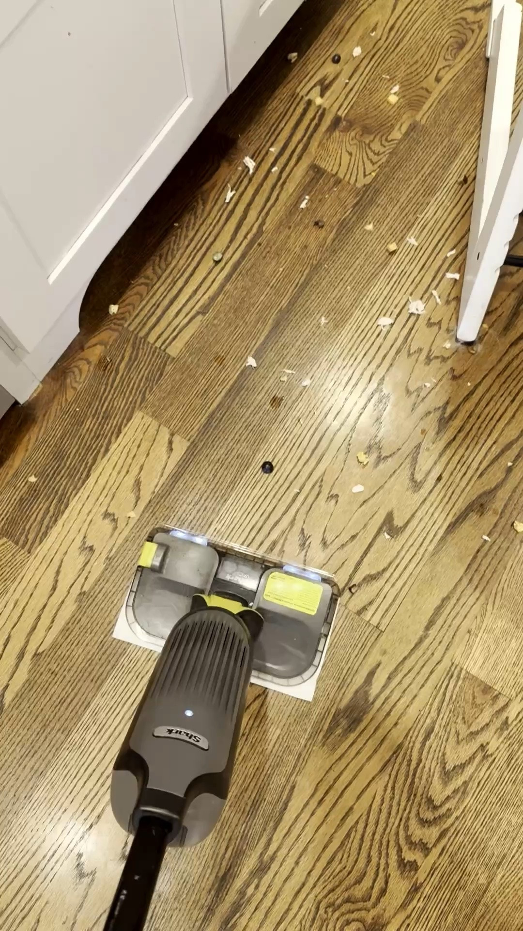 This vacmop is my lifeline